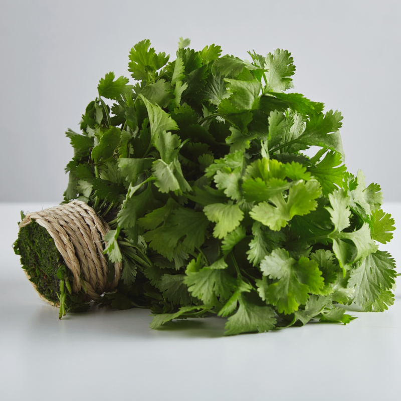 Fresh Cilantro – Organic, Fragrant, and Flavorful Herb | grocery
